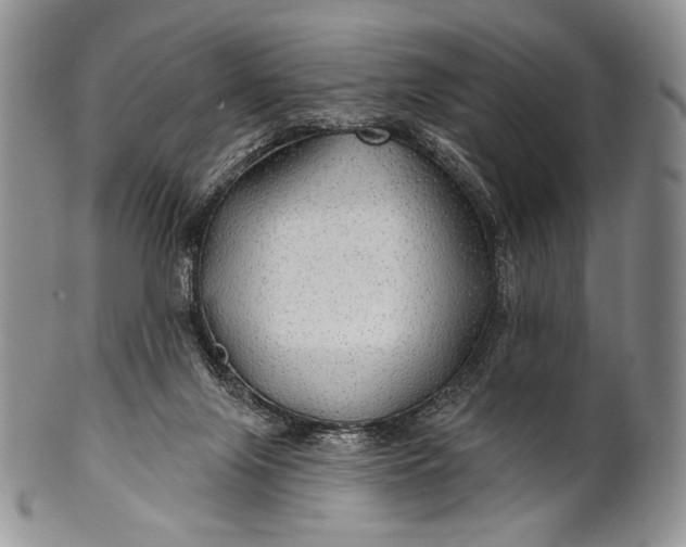 X0000100370071200806201637