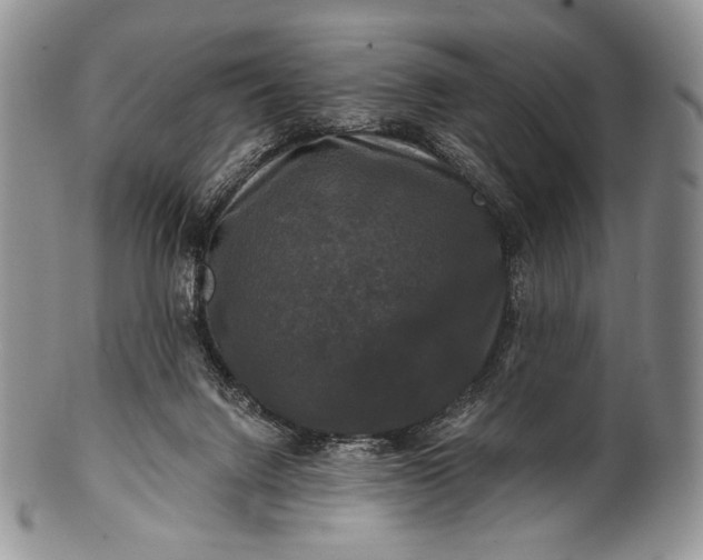 X0000100370072200806201637