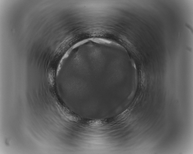 X0000100370074200806201637