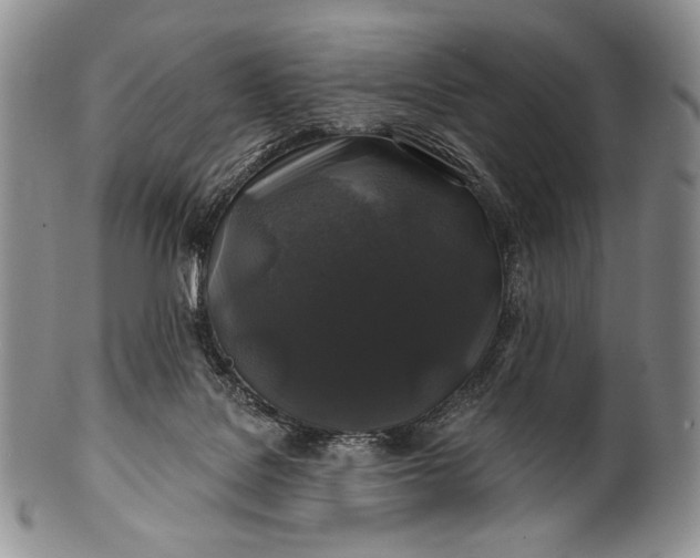 X0000100370076200806201637