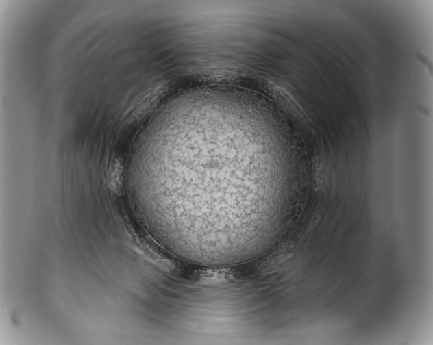 X0000100370077200806201637