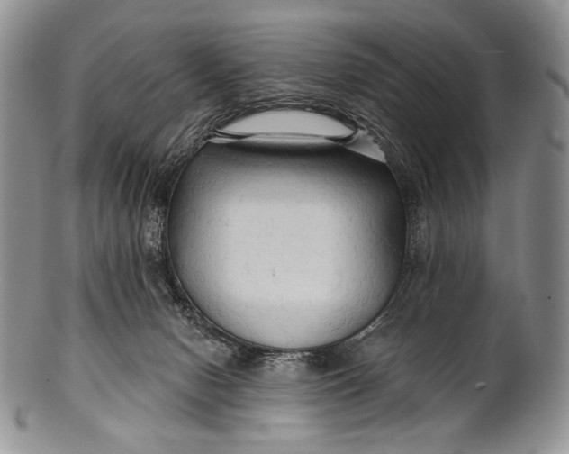 X0000100370078200806201637