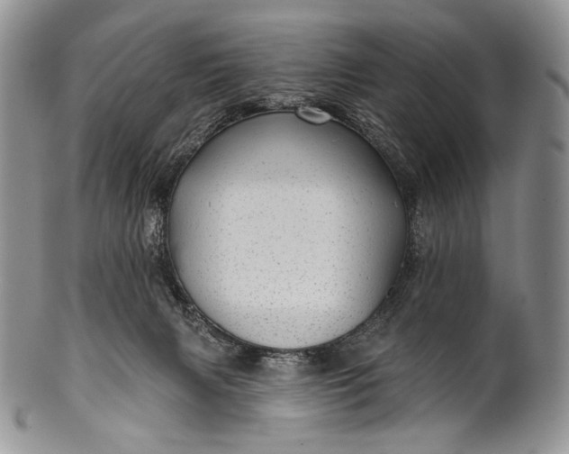 X0000100370079200806201637