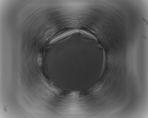 X0000100370080200806201637