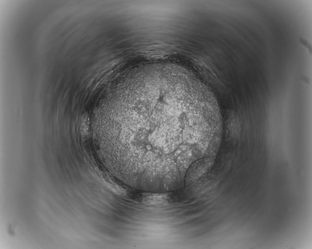 X0000100370081200806201637