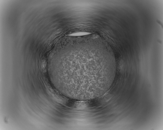 X0000100370082200806201637