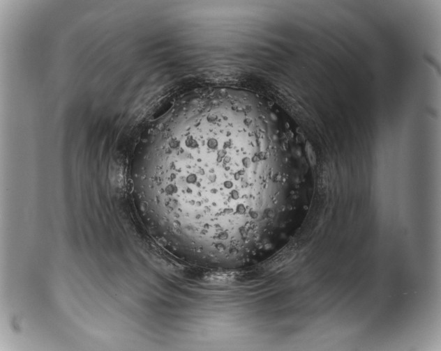 X0000100370084200806201637