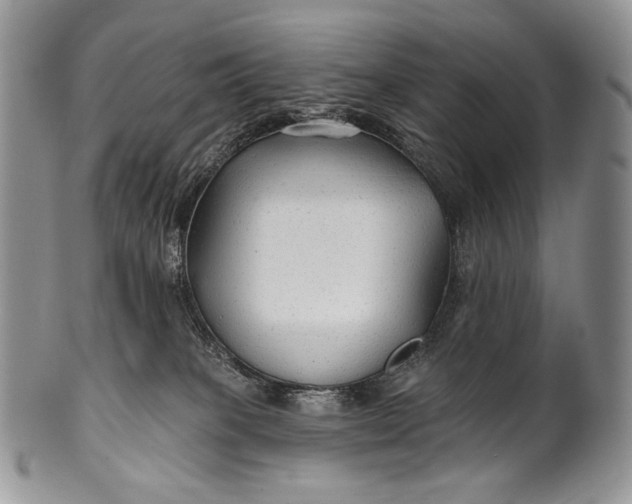 X0000100370085200806201637