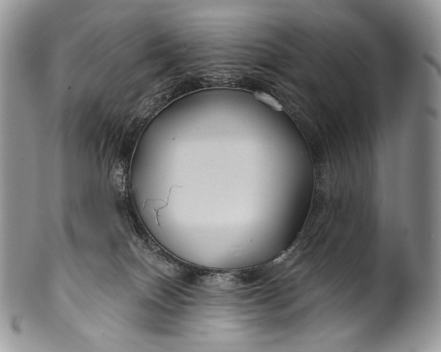 X0000100370086200806201637