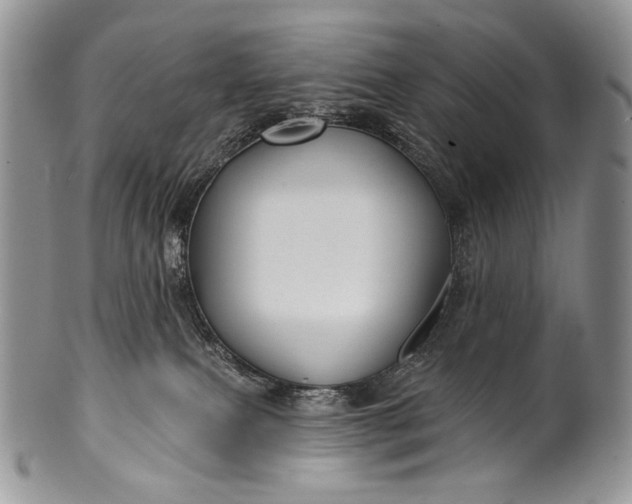 X0000100370087200806201637