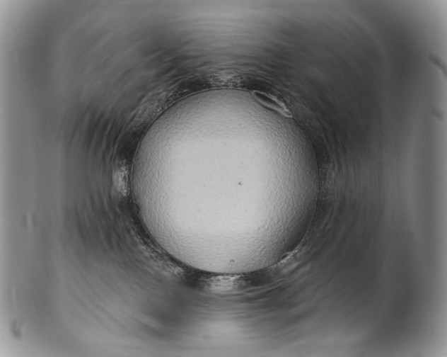 X0000100370090200806201637