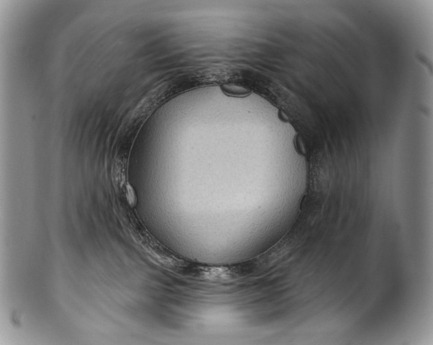 X0000100370091200806201637