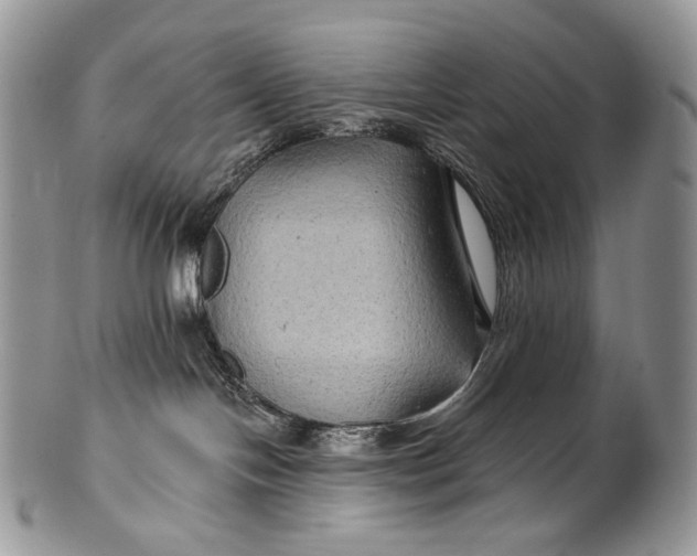 X0000100370094200806201637