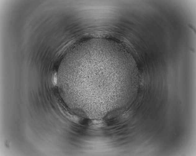 X0000100370095200806201637