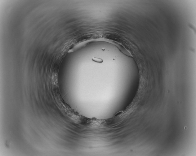 X0000100370096200806201637