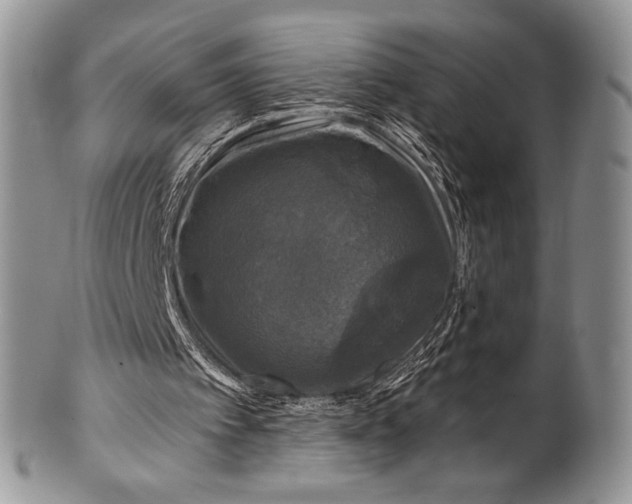 X0000100370097200806201637