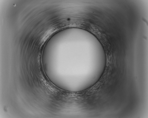 X0000100370098200806201637