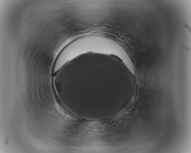 X0000100370100200806201637