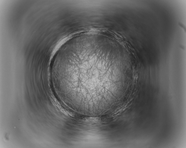 X0000100370102200806201637