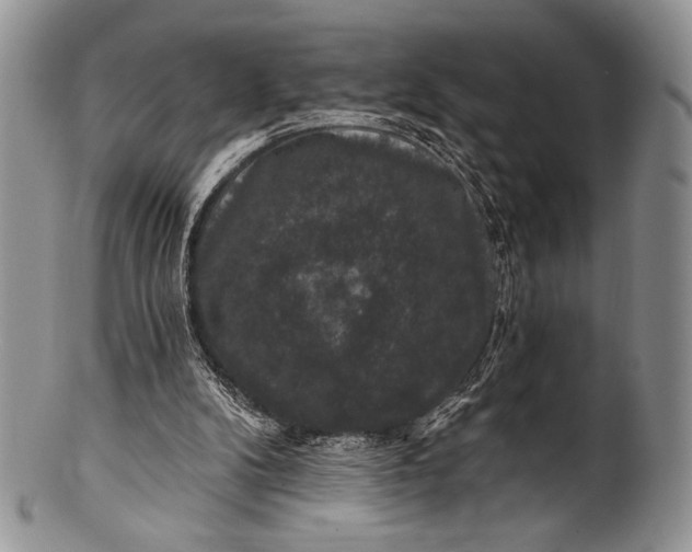 X0000100370104200806201637