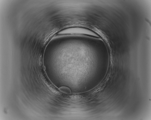 X0000100370105200806201637