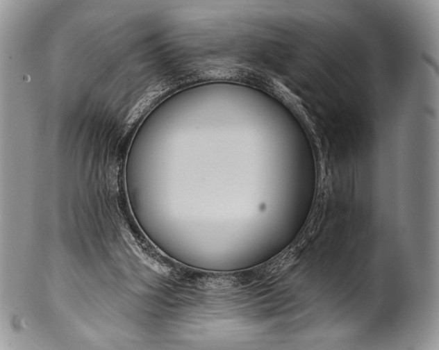 X0000100370106200806201637