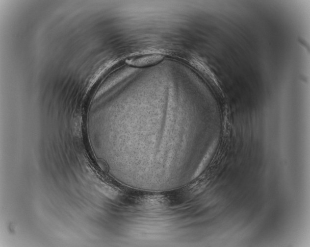 X0000100370108200806201637