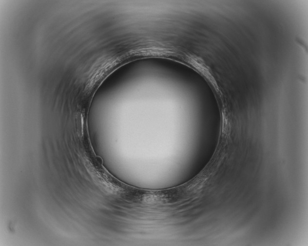 X0000100370109200806201637