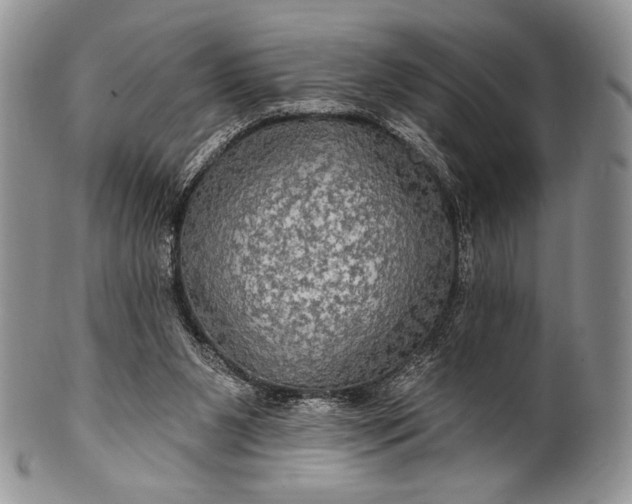 X0000100370111200806201637