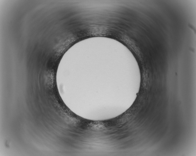 X0000100370113200806201637