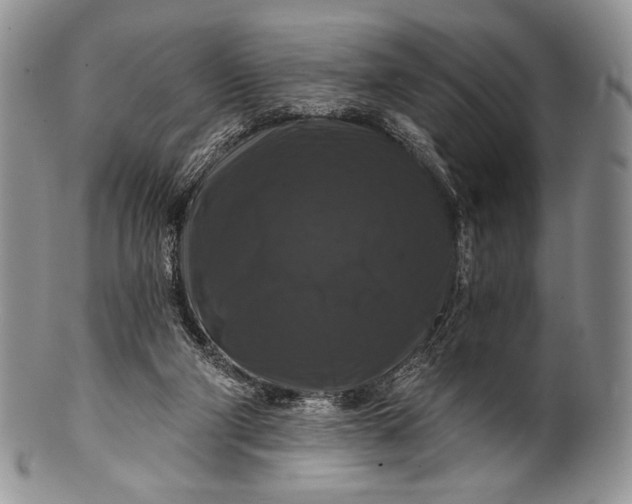 X0000100370114200806201637