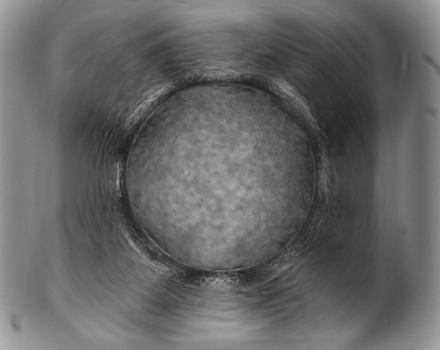 X0000100370115200806201637