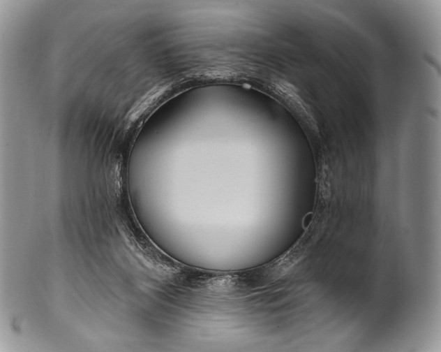 X0000100370116200806201637