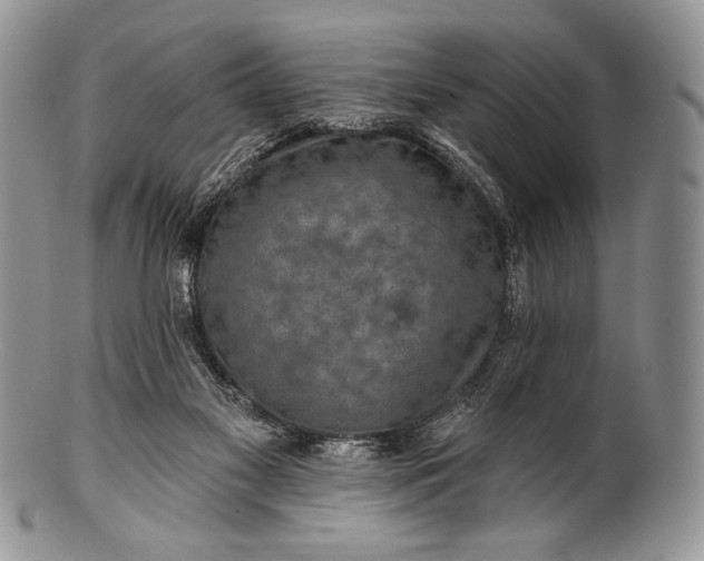 X0000100370117200806201637