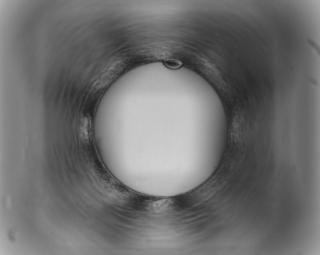 X0000100370122200806201636