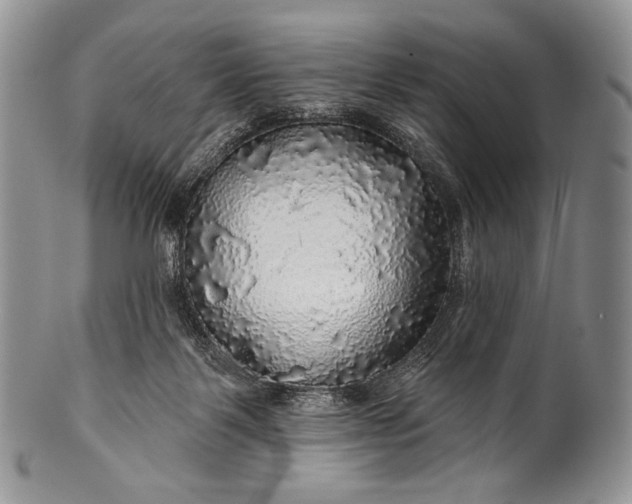 X0000100370123200806201636