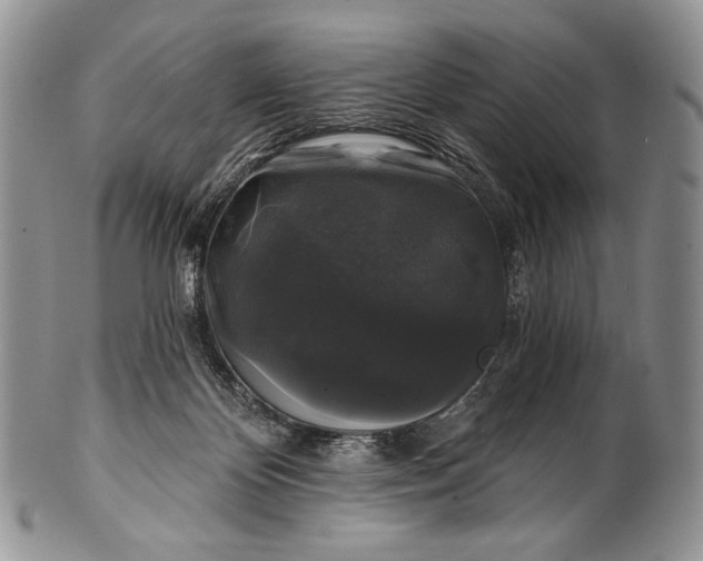 X0000100370124200806201636