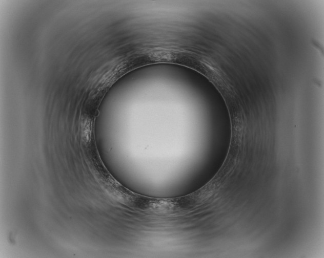 X0000100370125200806201636