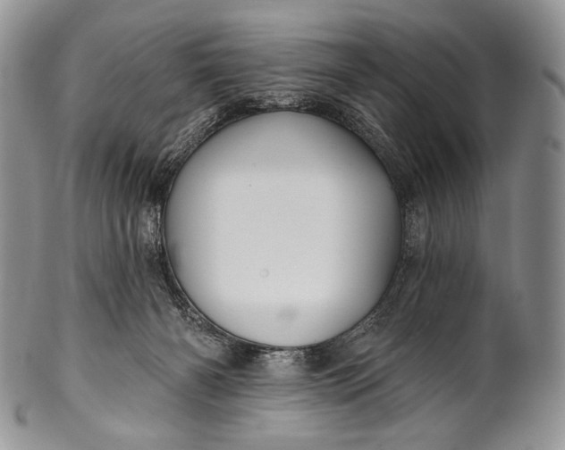 X0000100370126200806201636