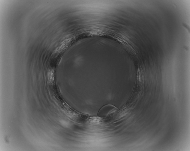 X0000100370127200806201636