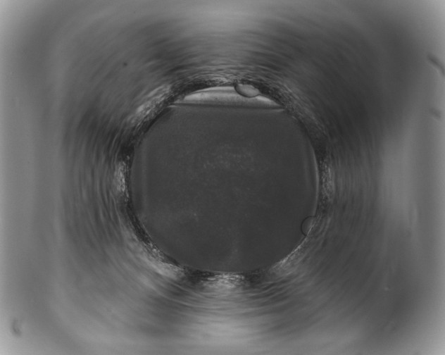 X0000100370128200806201636