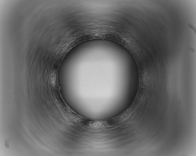 X0000100370129200806201636