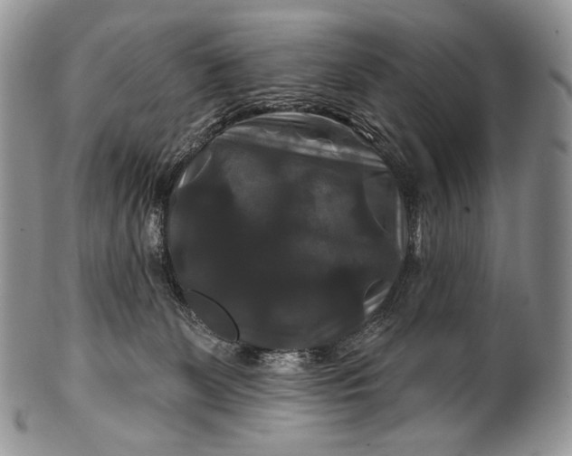 X0000100370131200806201636