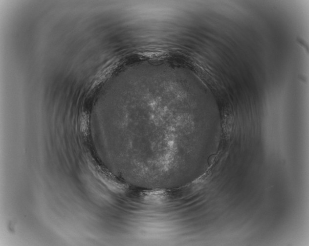 X0000100370132200806201636