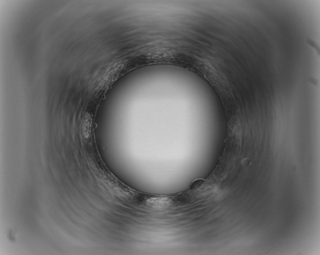 X0000100370133200806201636