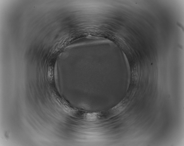 X0000100370134200806201636