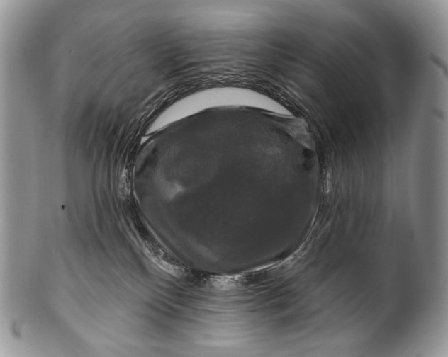 X0000100370136200806201636