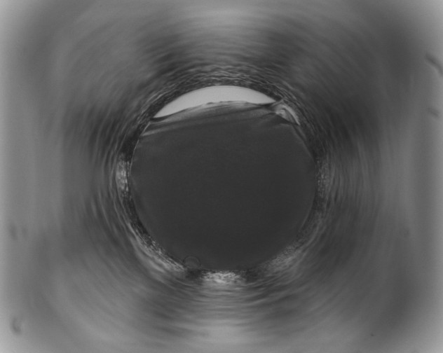 X0000100370137200806201636