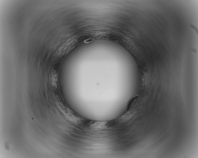 X0000100370138200806201636