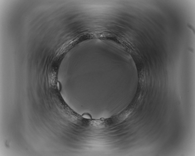 X0000100370139200806201636